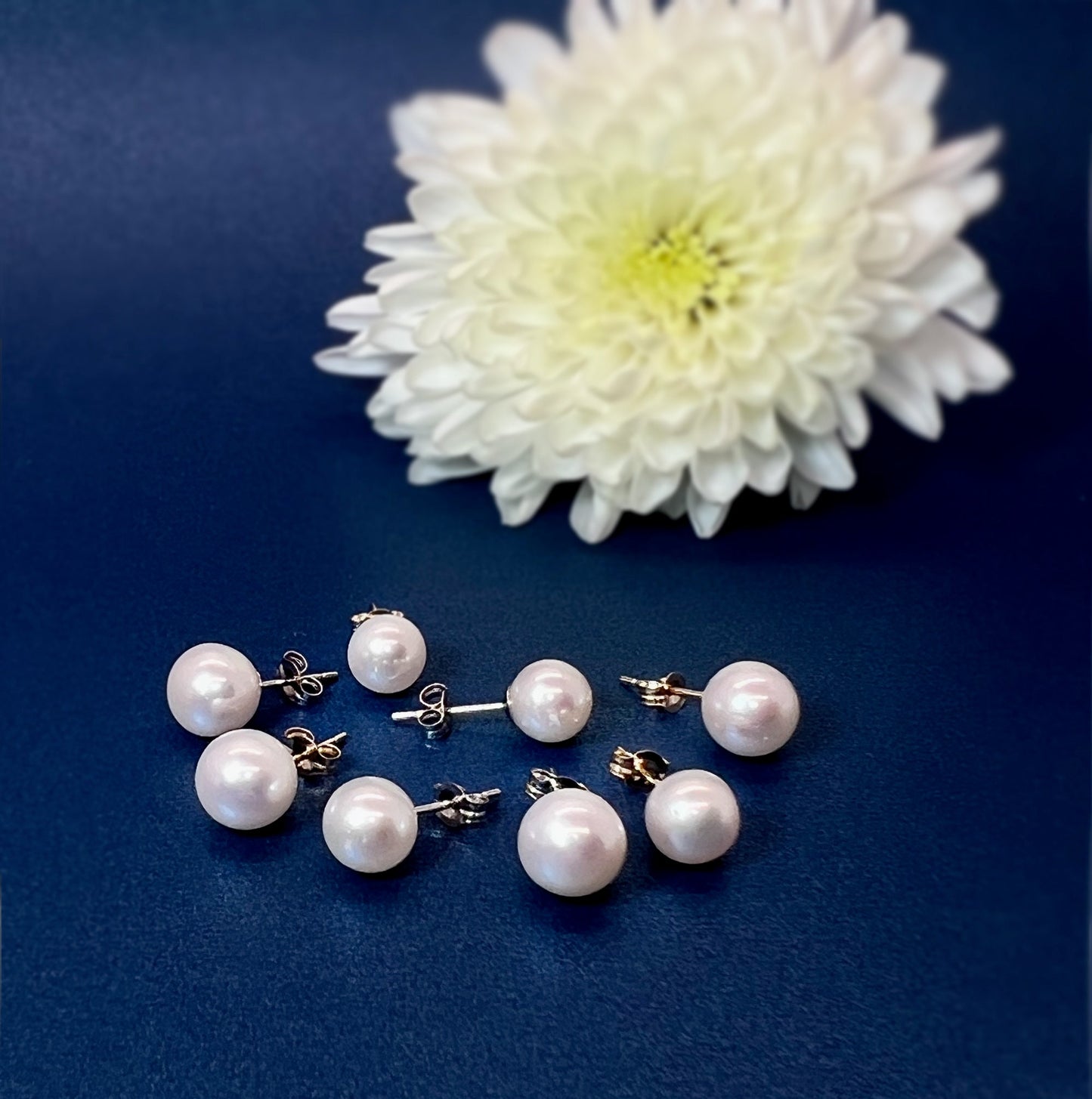 14k Gold Freshwater Pearl Stud Earrings: 6-8mm Genuine Pearl